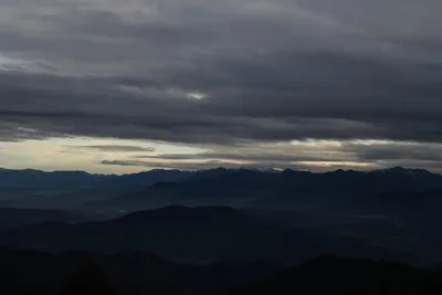 DSC_0087 (Large).JPG